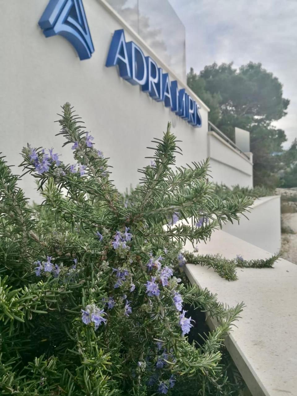 Adria Miris Apartments Драшнице Экстерьер фото